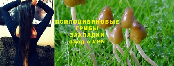 соль ск Корсаков