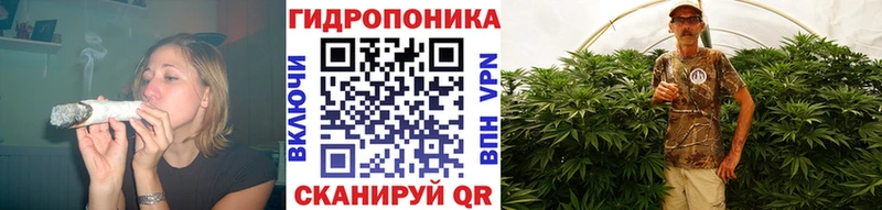 Бошки марихуана план  Новая Ладога 
